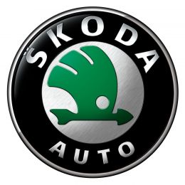 Каталог запчастей для Skoda